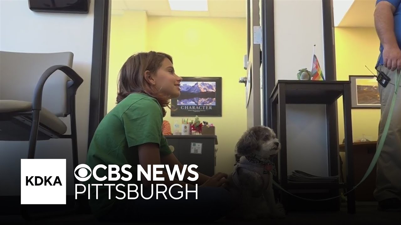 Gateway_SD's tweet card. Pennsylvania middle school uses therapy dogs to help students feel at...