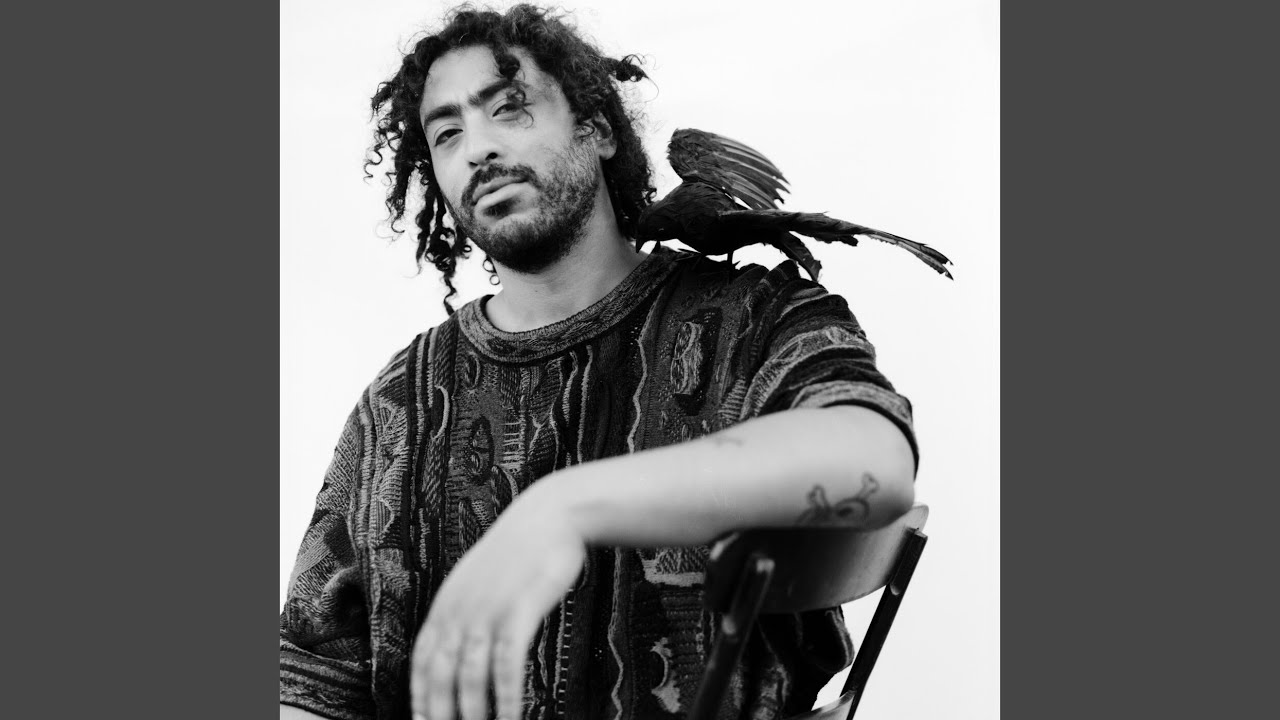 hipcatscience's tweet card. by the head