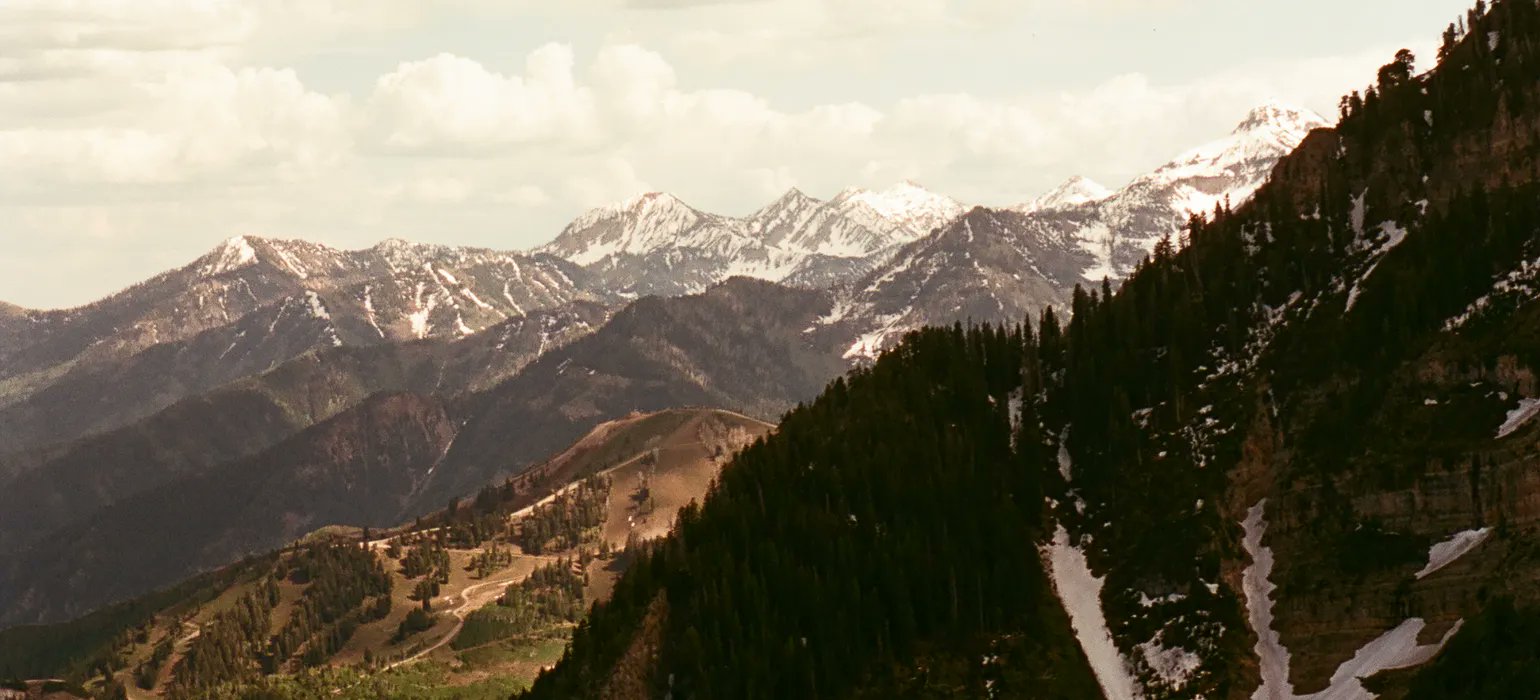 endpointdev's tweet card. A nice approach for handling frontend asset bundling with support for JavaScript and Sass.