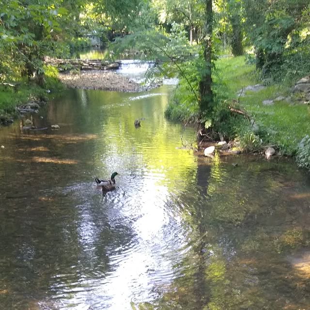 CleanProMuskgee's tweet card. Clean Pro (@cleanpromuskogee) • Instagram photo