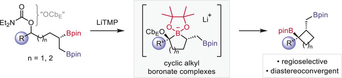 AggarwalLab's tweet card. Cyclopentyl and cyclobutyl 1,3-bis-boronic esters have been prepared from benzylic carbamates with excellent regio-, diastereo- and enantioselectivity. The method enables the asymmetric cycloalkanes...