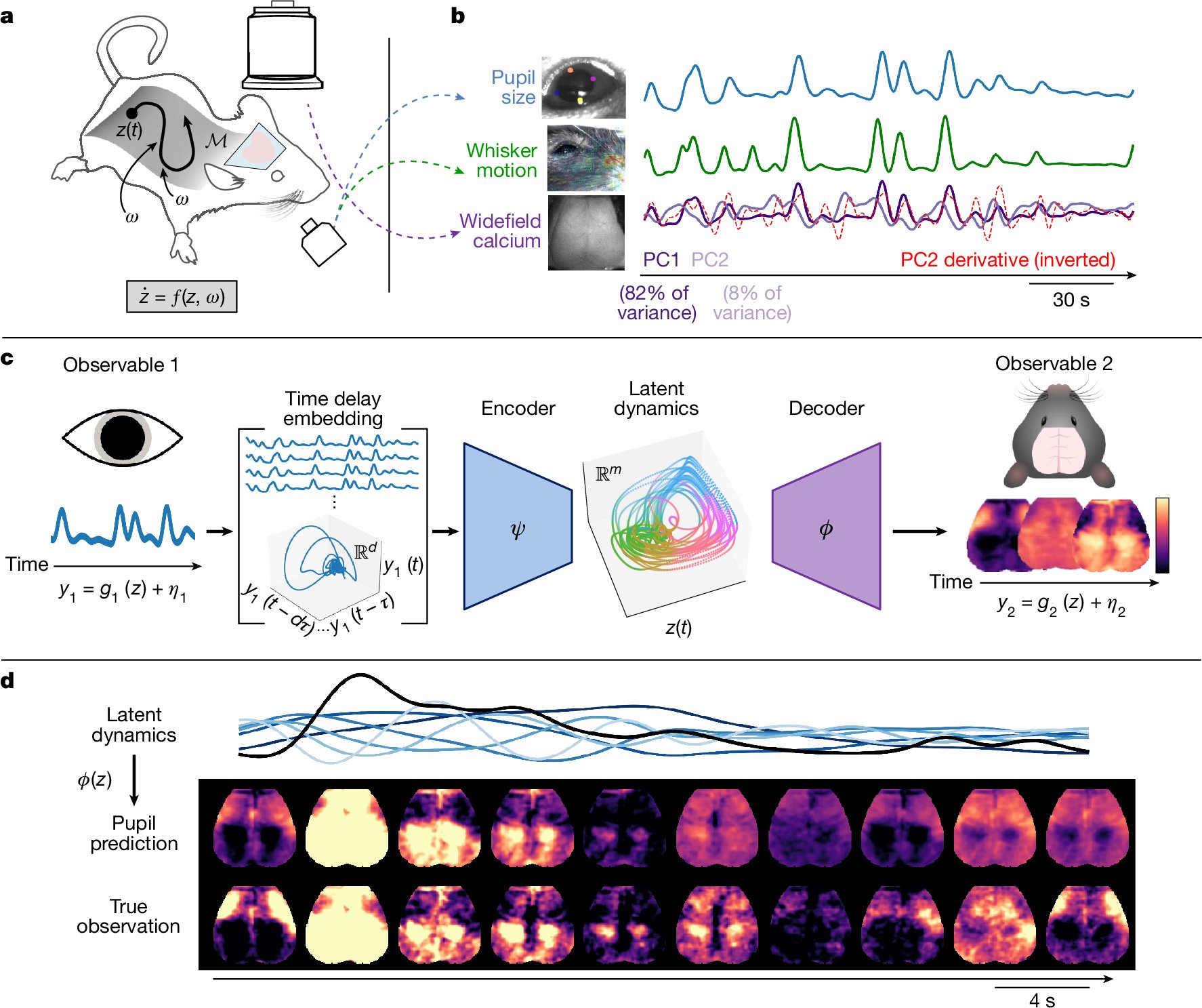 dav1dcg's tweet card. Nature - Reframing of arousal as a latent dynamical system can reconstruct multidimensional measurements of large-scale spatiotemporal brain dynamics on the timescale of seconds in mice.