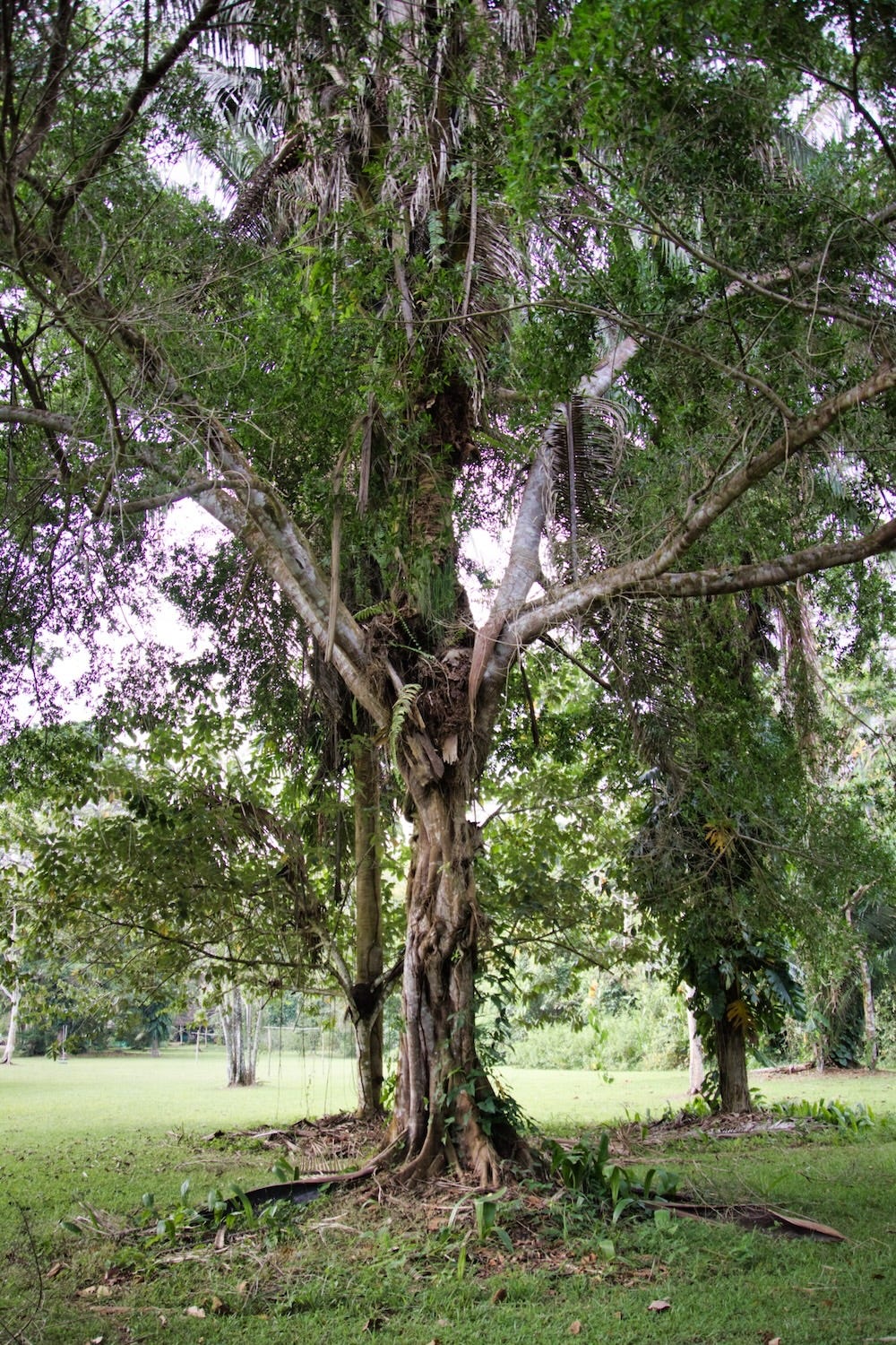 severin_bruhat's tweet card. From outdated to outstanding: upgrade your old application without the headache