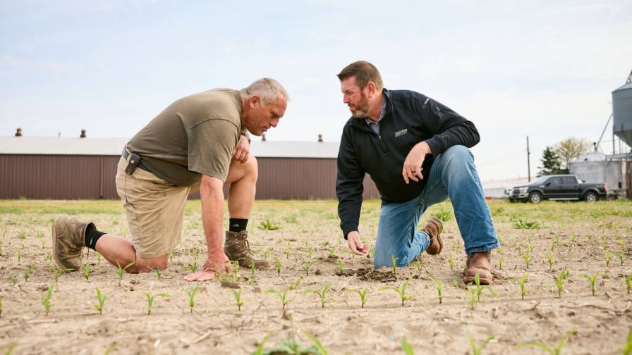 VerisTech's tweet card. Many of the challenges growers face can be overcome or diminished with scouting tools.