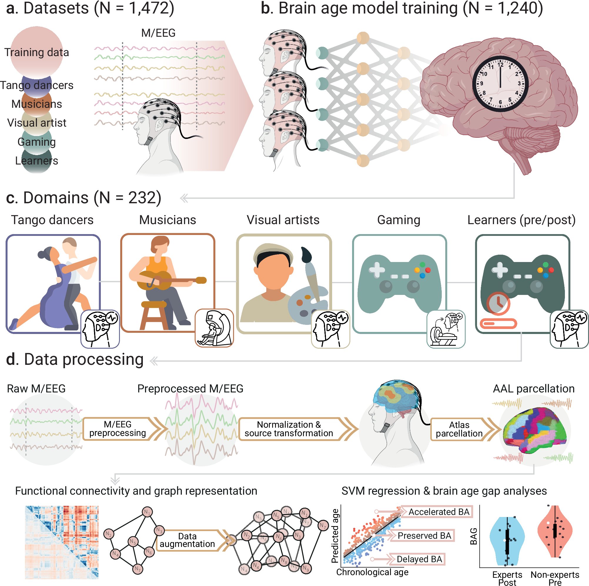 PASCALIF's tweet card. Nature Communications - Creative experiences such as dance, music, drawing, and strategy video games might preserve brain health. The authors show that regular practice or short training in these...