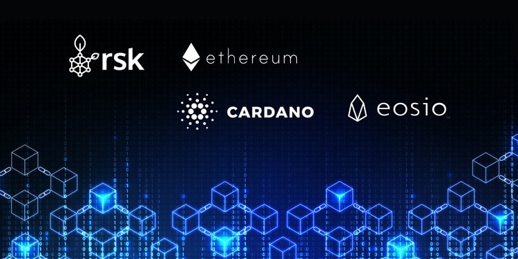 CriptoNoticias's tweet card. Analizamos las principales características de las plataformas para contratos inteligentes Ethereum, RSK (basada en Bitcoin), Cardano y EOS.