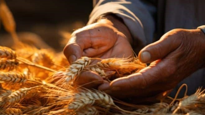 BBpromotus's tweet card. The Power of the Giving Mindset In a world marked by unprecedented uncertainty and rapid change, one timeless principle offers clarity and direction: the Law of Harvest. This universal truth teaches...