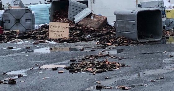 Tweet card summary image