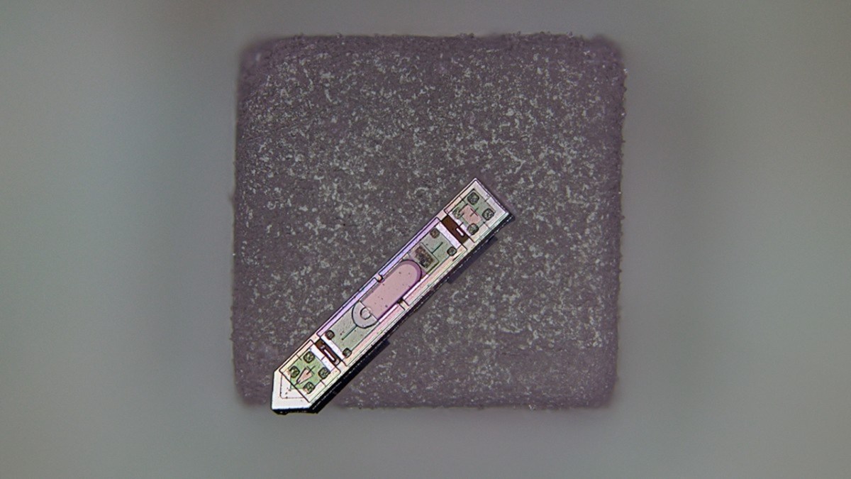 Pur3Tech's tweet card. Today’s neural implants are smaller than ever, but often remain cumbersome and prone to complications. According to researchers at Cornell University, a new iteration detailed this week in the...