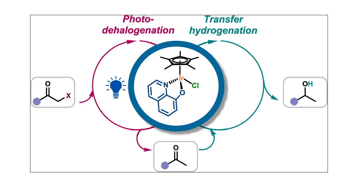 kevin_mgc's tweet card. Iridium complexes have been demonstrated to be highly active catalysts for a wide variety of transformations. Their unique photophysical and photochemical properties render them as one of the most...