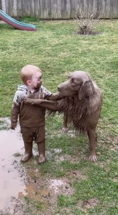 monad1010's tweet card. 😂 Baby & Dog Mud Disaster! | Backyard Fun Gone Wild