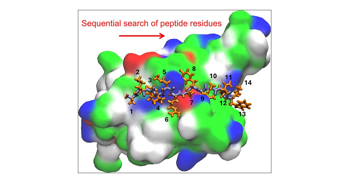 JCIM_JCTC's tweet card. We introduce a simple and efficient computational methodology capable of designing peptides lacking higher order structures. The method is based on the sequential modification of residues in a simple...