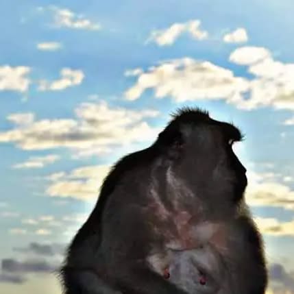 Iarunmohan's tweet card. Arun (@timelessuniverse) • Instagram photo