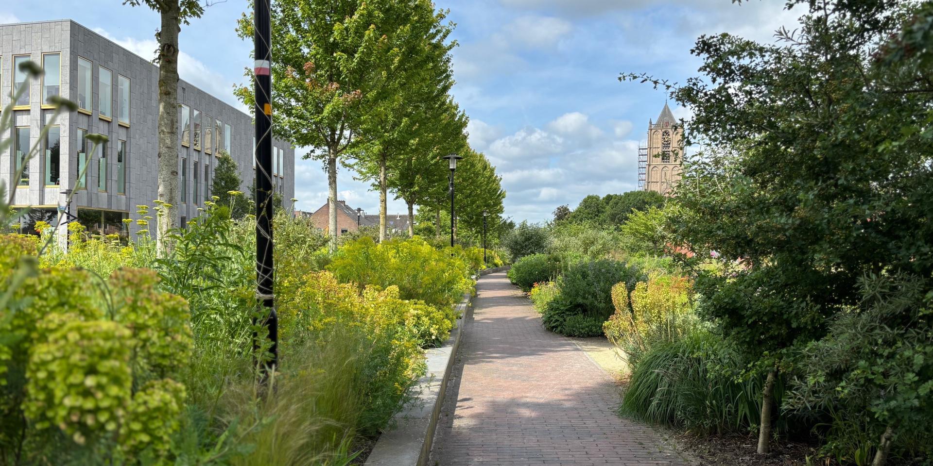 drupalgemeenten's tweet card. Homepage