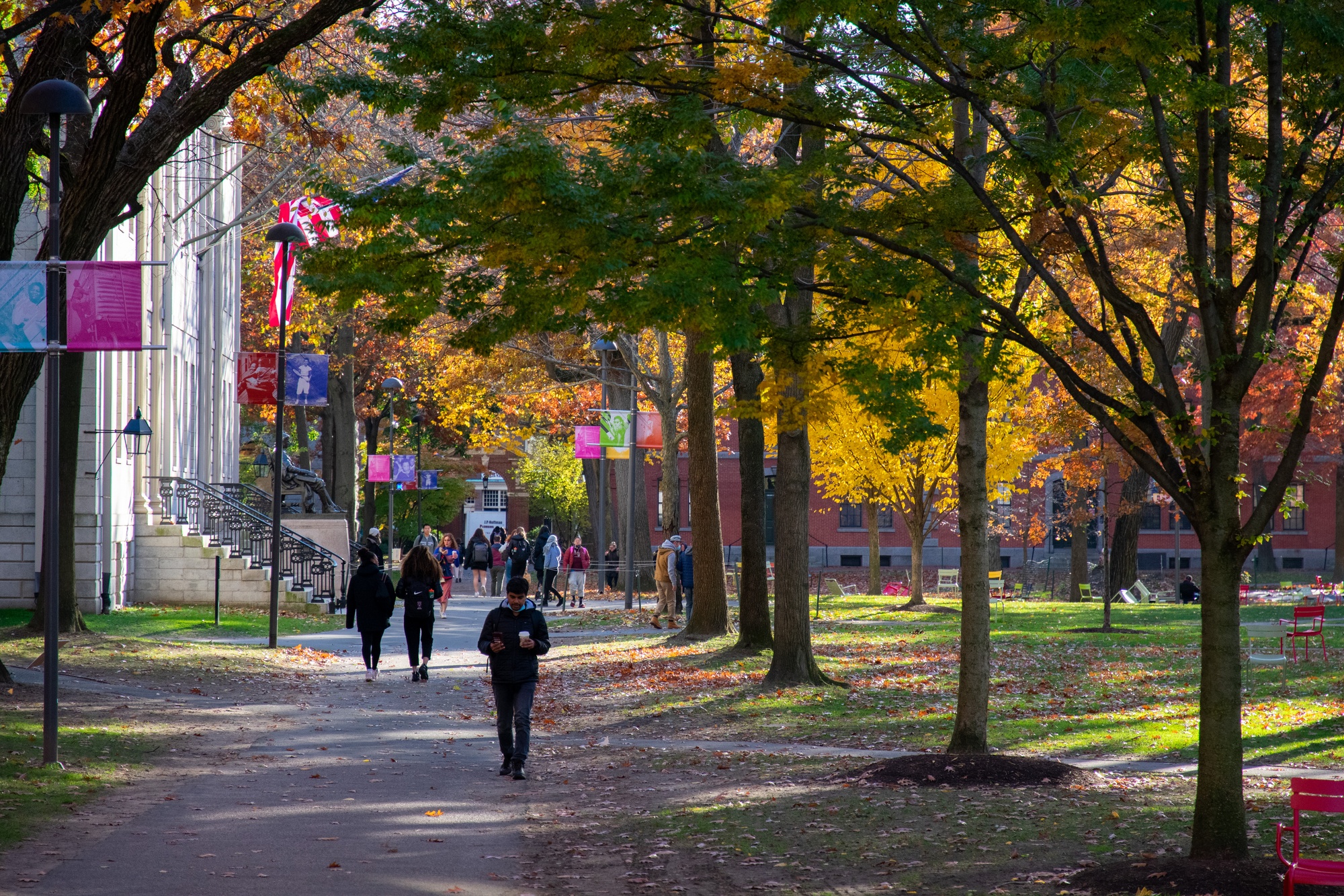 sfmcguire79's tweet card. ‘Soul-Crushing’: Students Slam Harvard’s Grade Inflation Report | News | The Harvard Crimson