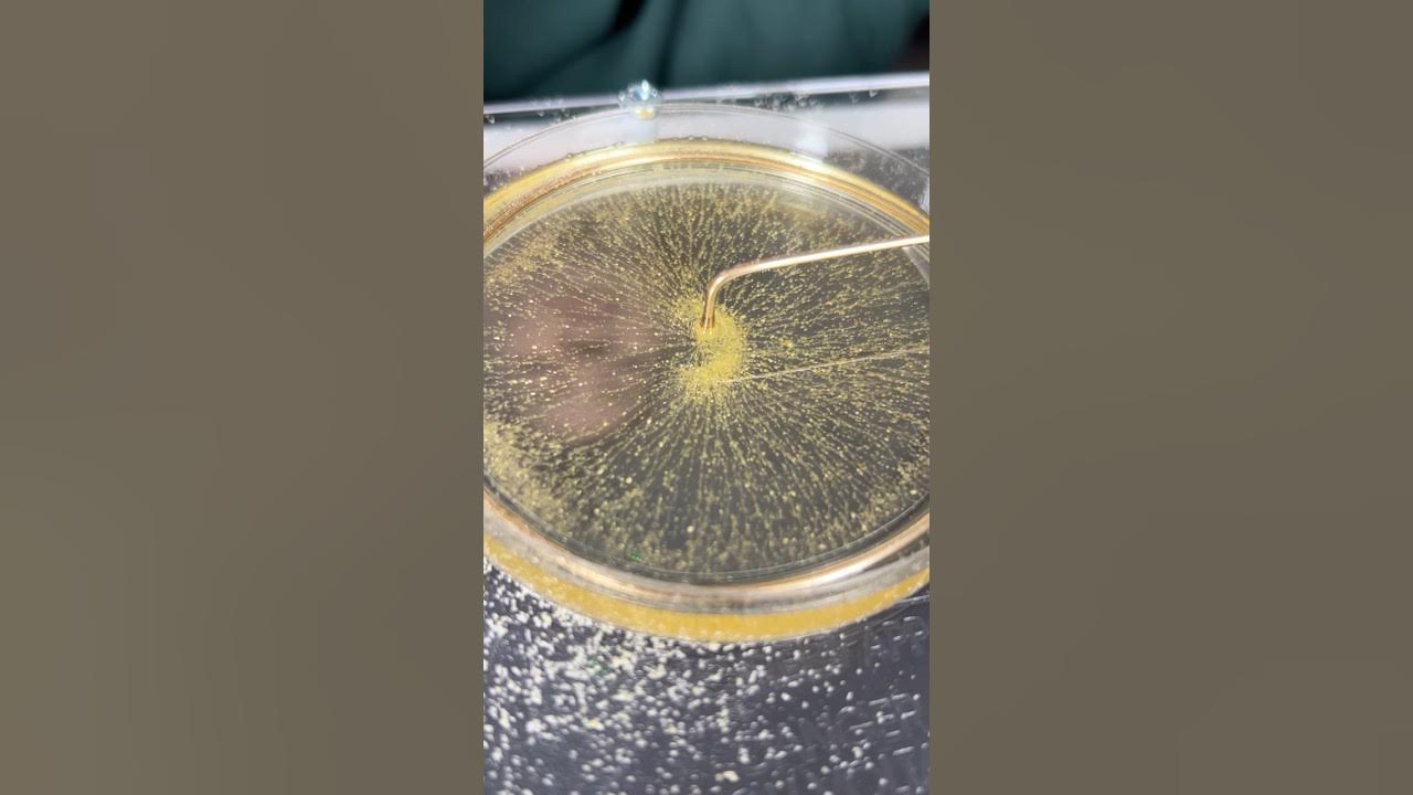 Lascells's tweet card. How do you SEE Electric Fields?