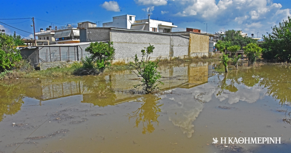 Giorgos_Lialios's tweet card. Τα πρωτοφανή καιρικά φαινόμενα των τελευταίων ετών δείχνουν σε πολλές περιπτώσεις να «εξουδετερώνουν» τις στρατηγικές διαχείρισης κινδύνων. Γι’ αυτό είναι κομβικής σημασίας να ενσωματώνεται η...