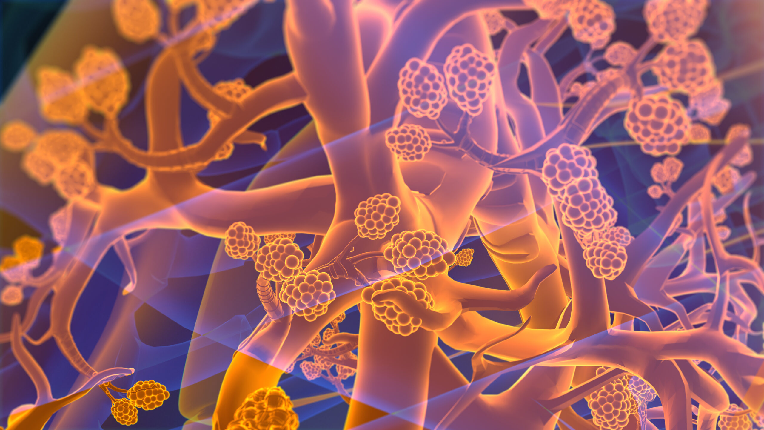 CincyResearch's tweet card. Inhaled molgramostim significantly improved lung gas exchange and quality of life among patients with autoimmune pulmonary alveolar proteinosis.