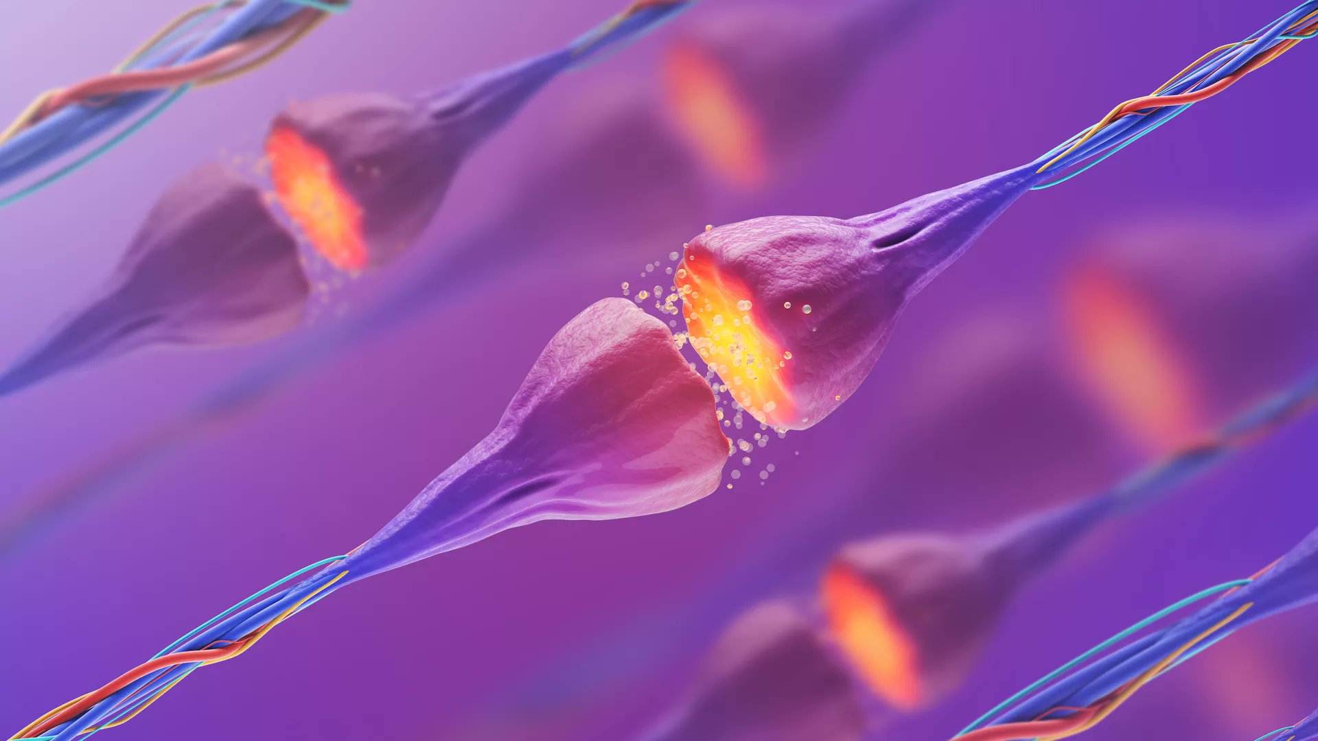 FrontNeurosci's tweet card. The differentiation of pluripotent stem cells into neurons is an essential area of biomedical research, with significant implications for understanding neura...