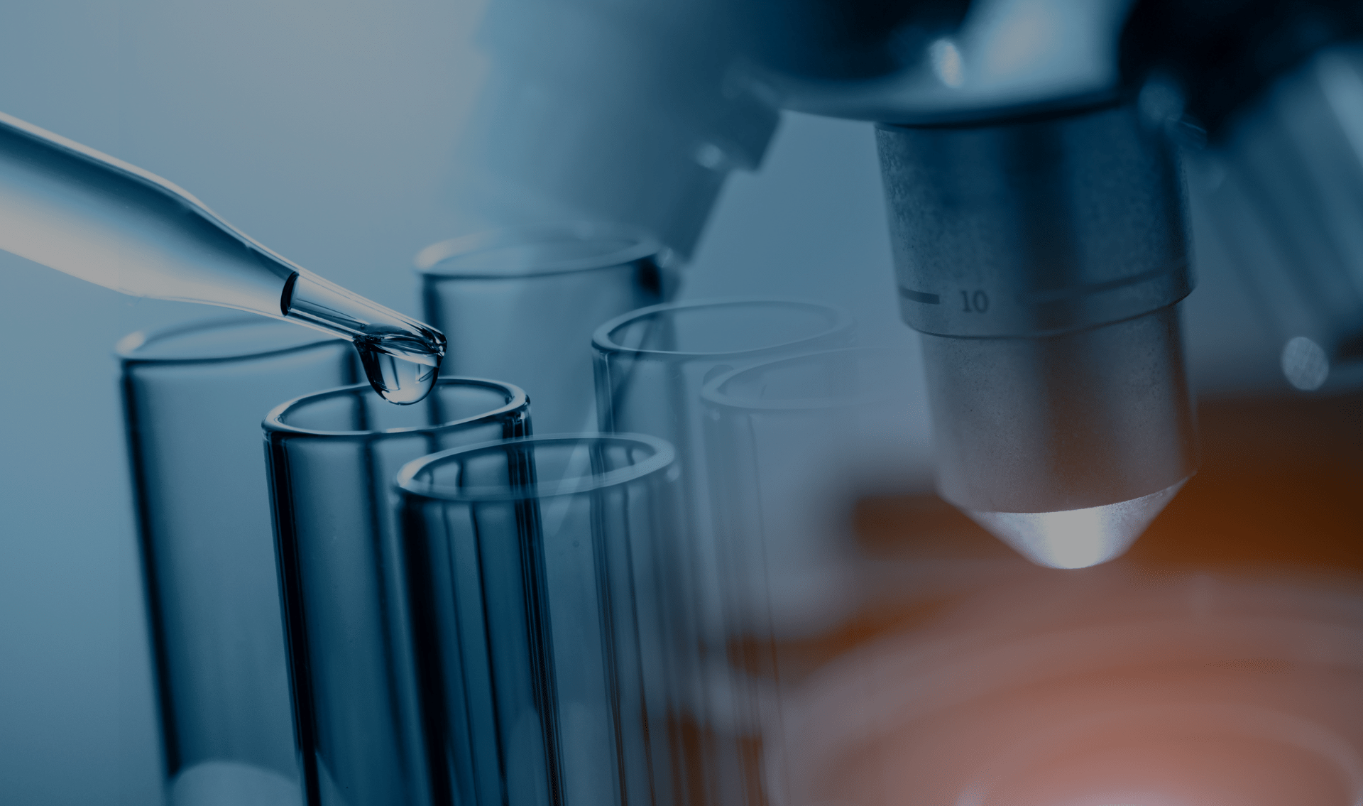 VirgilioProgram's tweet card. I got the opportunity to do my 2nd lab rotation at the Laboratory of Hematology in the Policlinico Hospital (University