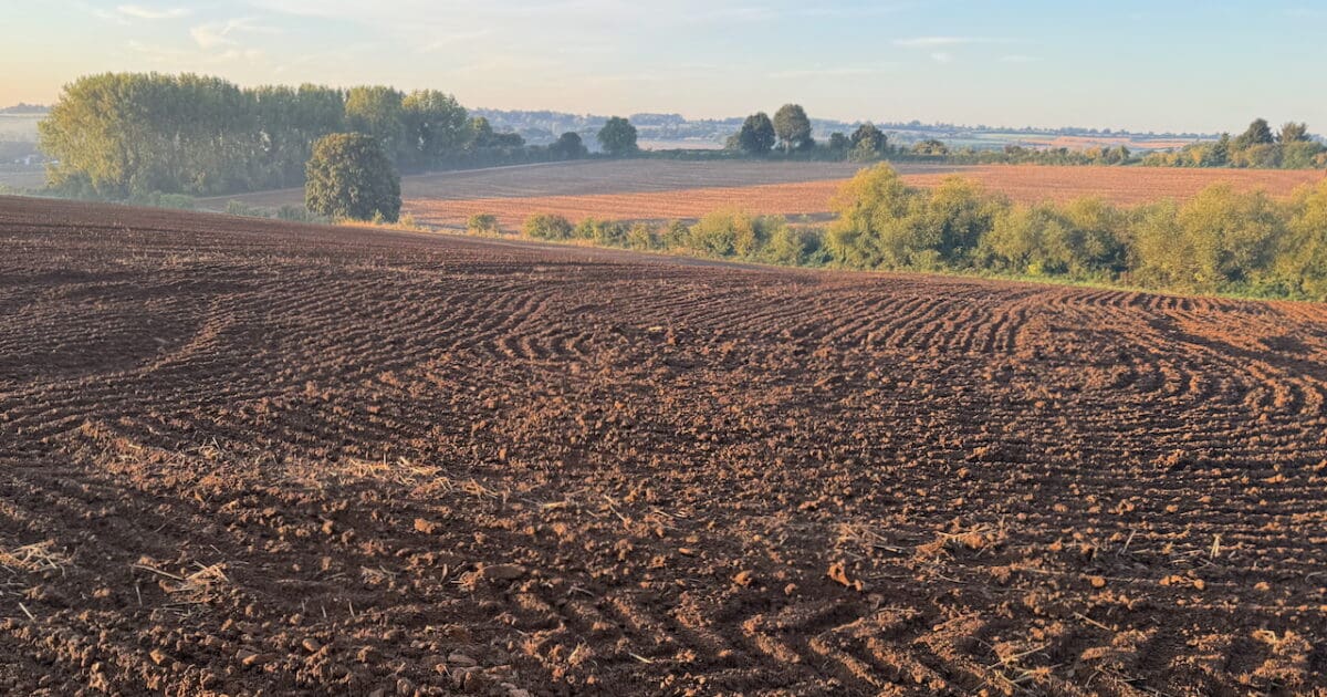 thedirt_news's tweet card. New research reveals that microbial communities in soil have the ability to remember past environmental conditions, helping plants withstand drought stress.