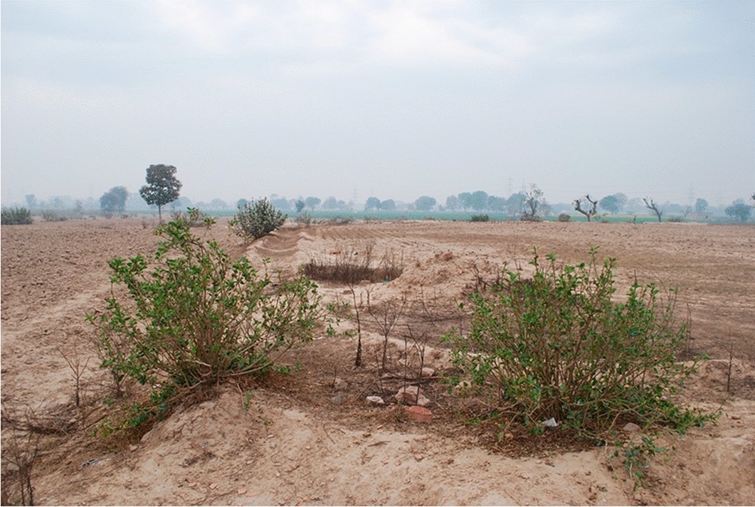 MAHSA_Project's tweet card. Scientific Reports - Curriculum learning-based strategy for low-density archaeological mound detection from historical maps in India and Pakistan