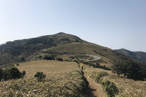 bgr_toc's tweet card. ★★ Camp STAR ★★