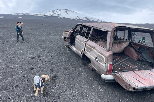 bgr_toc's tweet card. ★★ Camp STAR ★★