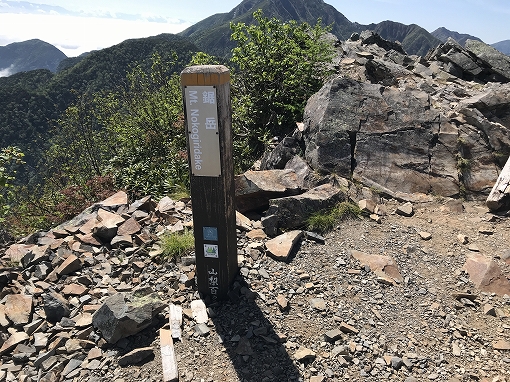 bgr_toc's tweet card. ★★ Camp STAR ★★