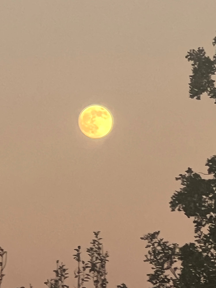 MJT57's tweet card. Some photos...and a delay (sorry).