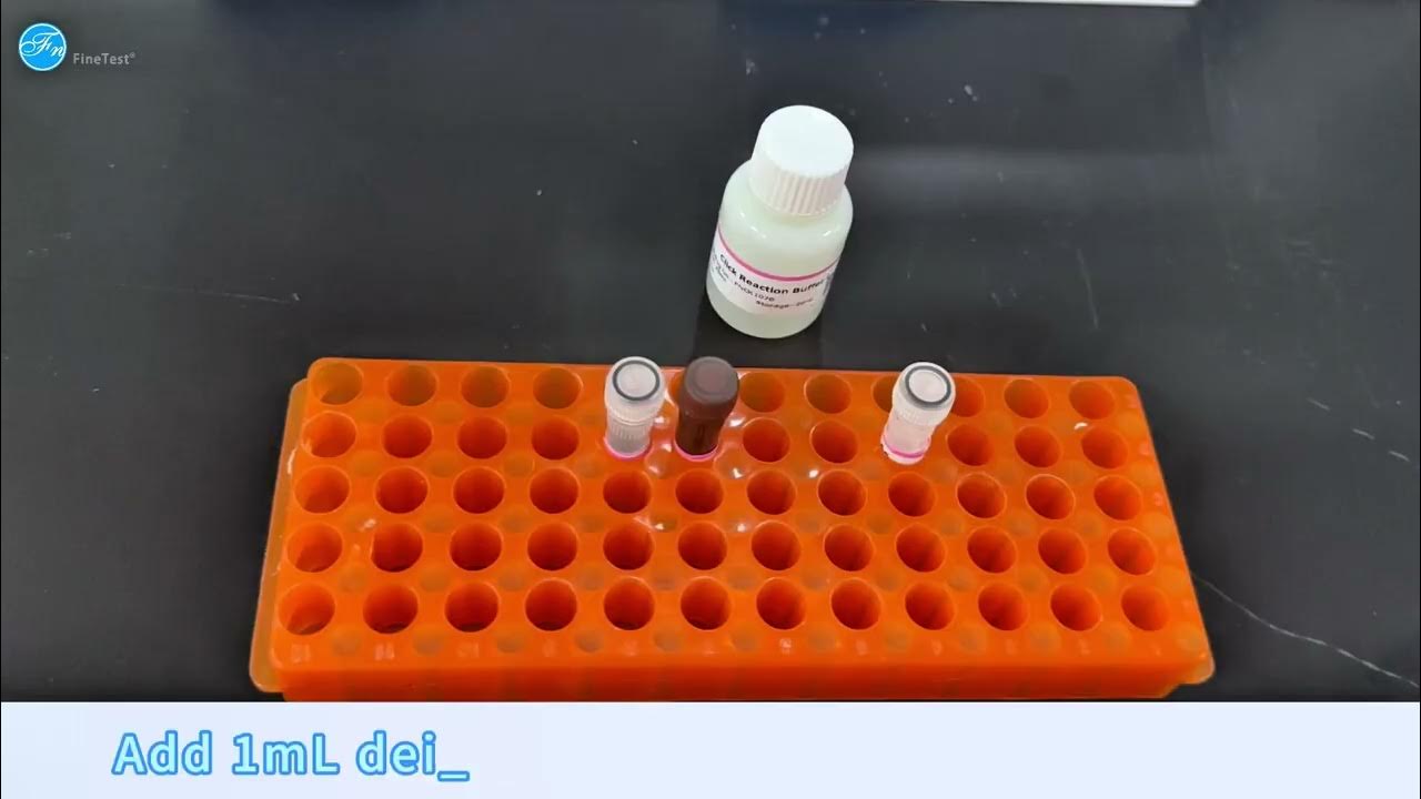 Fine_Biotech's tweet card. EdU Cell Proliferation Assay Protocol