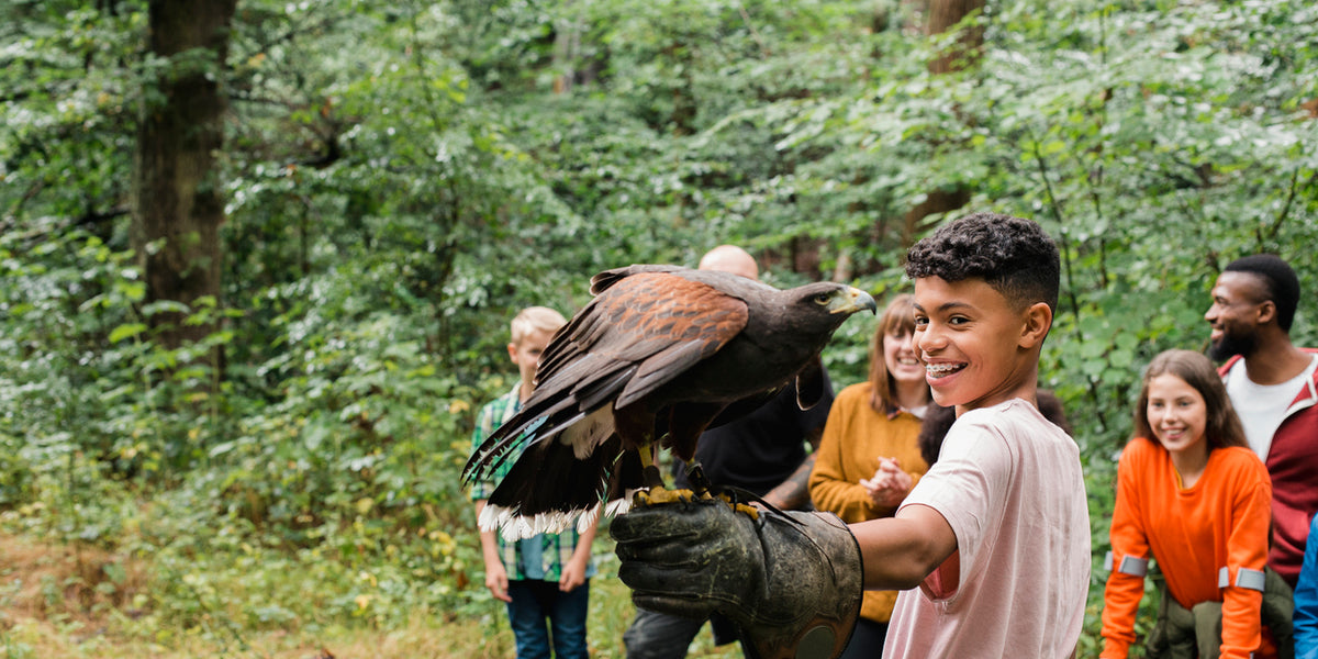 PlanBeeTeaching's tweet card. Celebrate your Primary school leavers in an eco friendly way with these ten zero waste party ideas, including creative year 6 leavers assembly ideas.