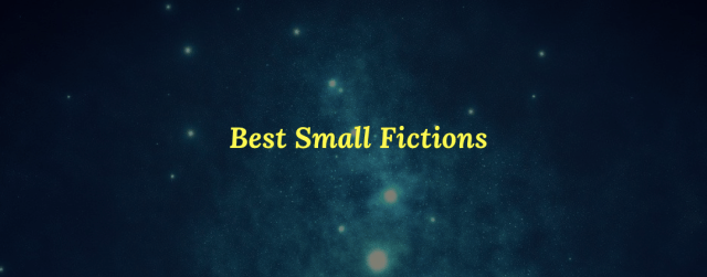 LiteraryRuby's tweet card. Overview and guidelines for the Best Small Fictions annual series, published by Alternating Current Press.