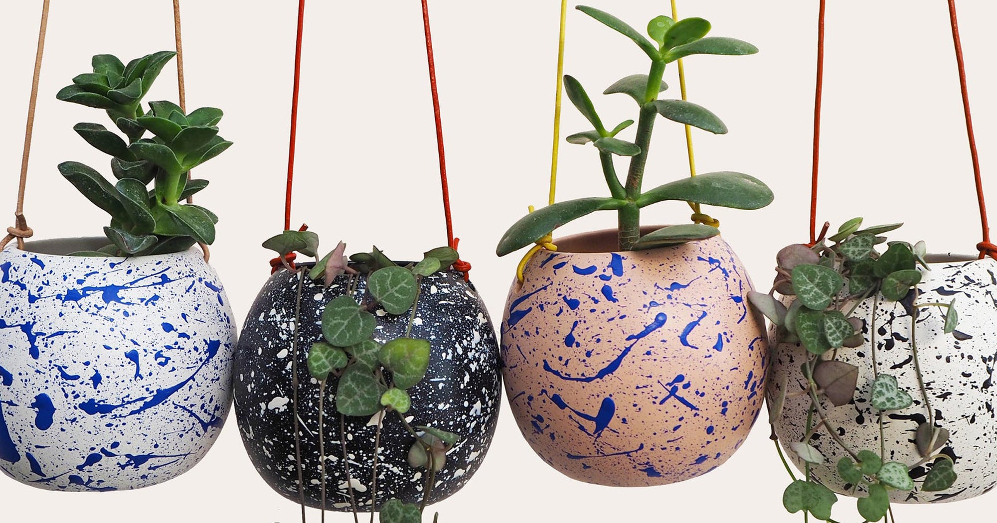 InstaTipsClips's tweet card. Instantly transform your home environment with one of these stylish hanging planters.