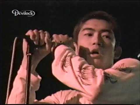 mk2_passcode's tweet card. BRAHMAN live " GREAT HELP" "ROOTS OF TREE"