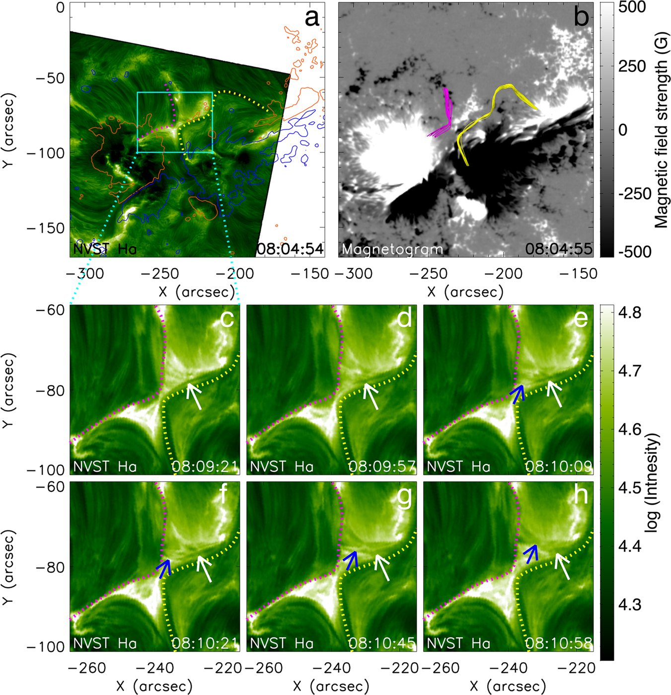 Kitware's tweet card. Nature Communications - Solar flares provide wide range of observational details about fundamental processes involved. Here, the authors show evidence for magnetic reconnection in a strong confined...