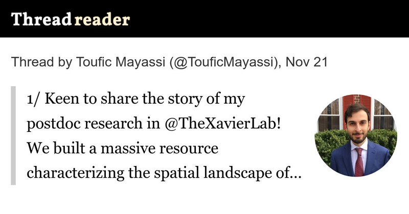 Tweet card summary image