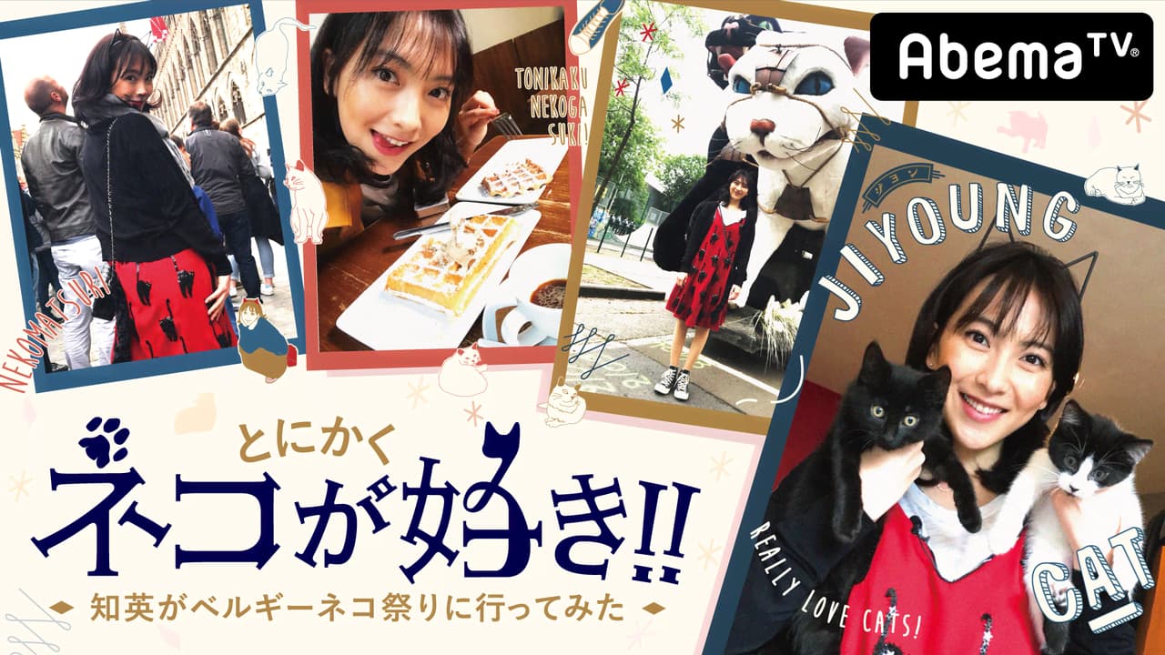 wzmind's tweet card. ベルギー西部にある、中世の面影を残す小さな街。ここは、世界中のネコ好きが集まる“聖地”。聖地・イー… 出演者は、【旅人】、知英、【…です。