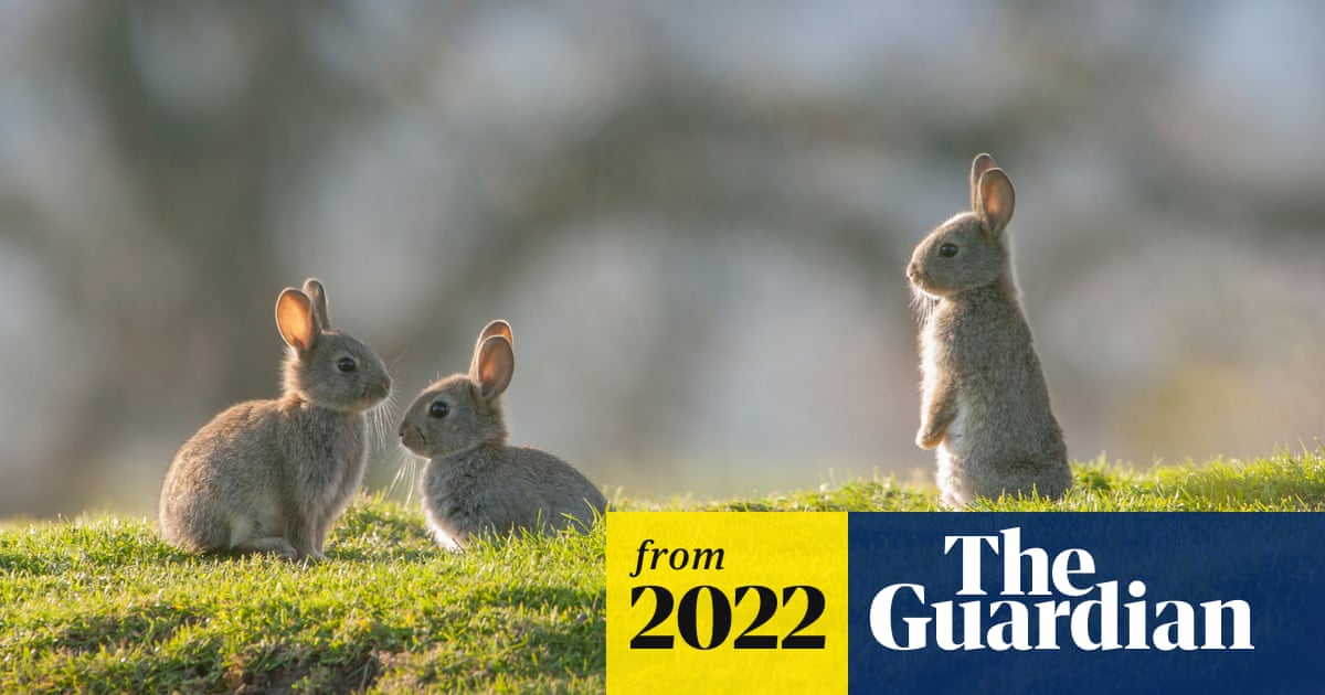 PhylogenyExplo3's tweet card. Letters: There can be no one unifying theory, writes Prof Jonathan Bard, while Nicholas Maxwell looks to the role of purposive actions and Pete Bibby says the fittest theory will survive