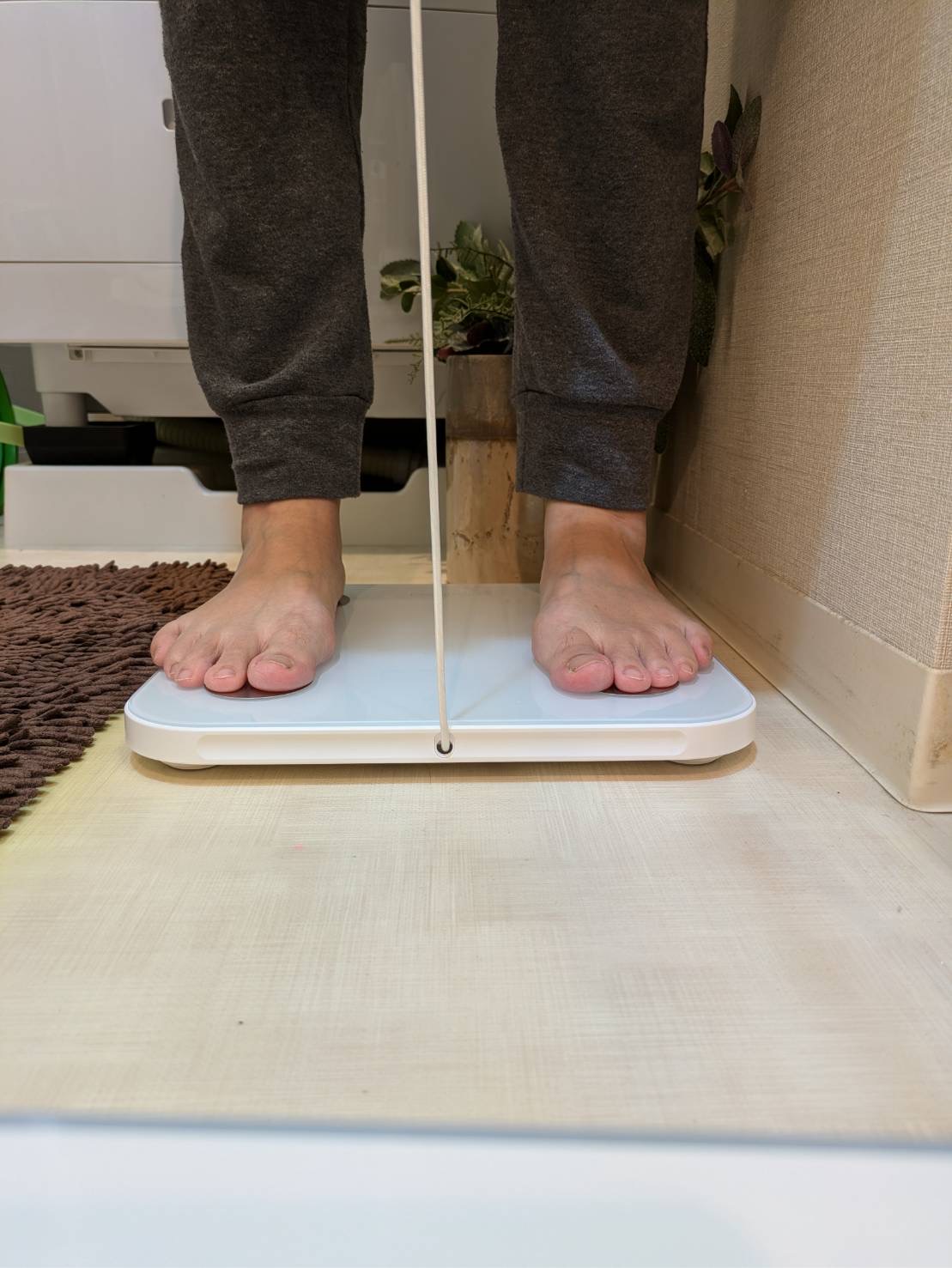 rinsimpl's tweet card. おはようございます、Rinです。 先月、ちらっとだけ紹介した新しい体重計。 「しばらく使ったらレビューを書きますね」と言っていたのですが、あれから1か月ほど経ち、そろそろ本音が語れる頃になりました。 そもそも買い替えのきっかけは、10年以上