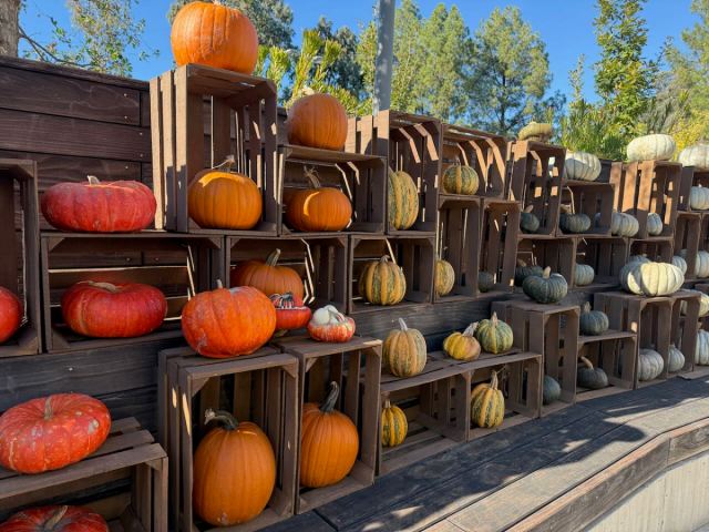 asvinsider's tweet card. (T) This is the third edition of the Machine Learning (ML) class that I launched seven years ago. This latest version is open to everyone—regardless of background or role. The goal of this class is…