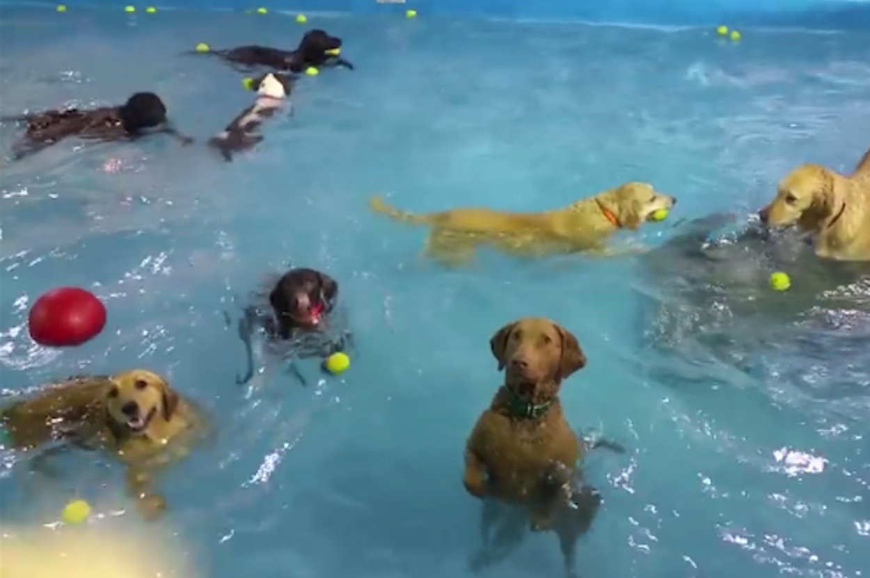 mathrules1982's tweet card. Same.