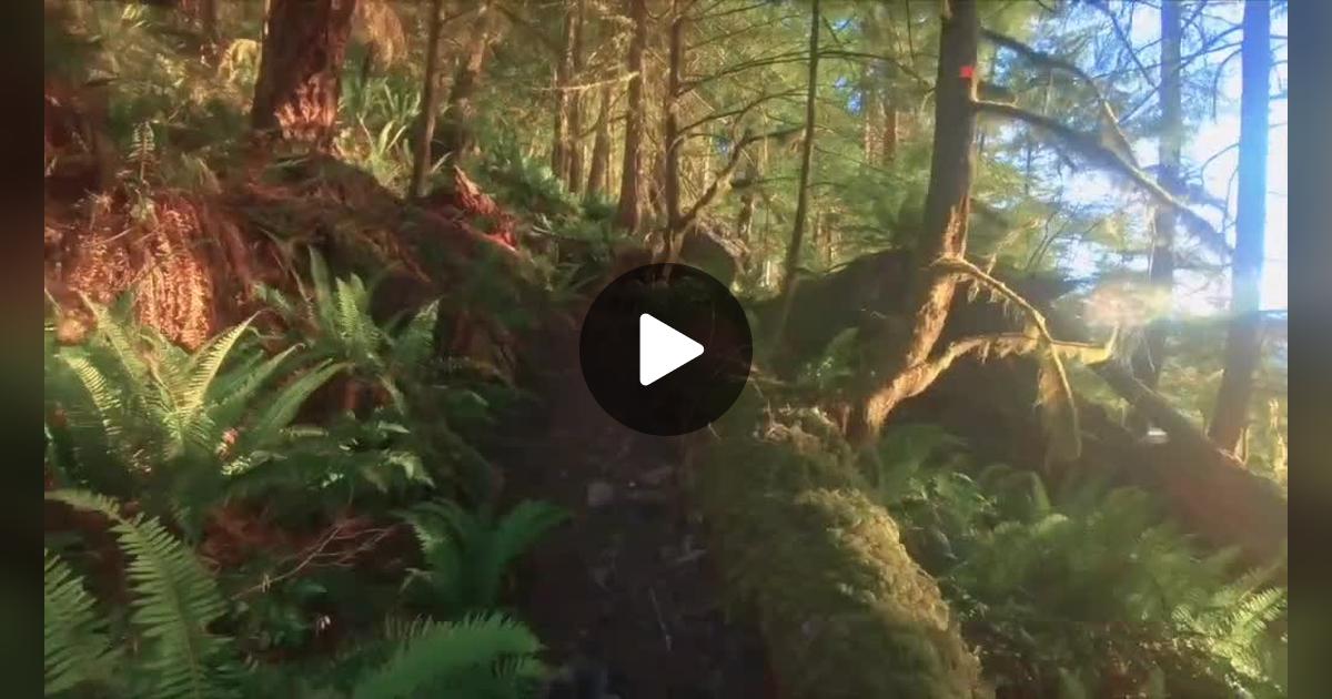 LibbyMbc's tweet card. 443 likes, 44 comments. “#whentomorrowstartswithoutme #death #metastaticbreastcancer #dyingmom #dyinginmy30s”