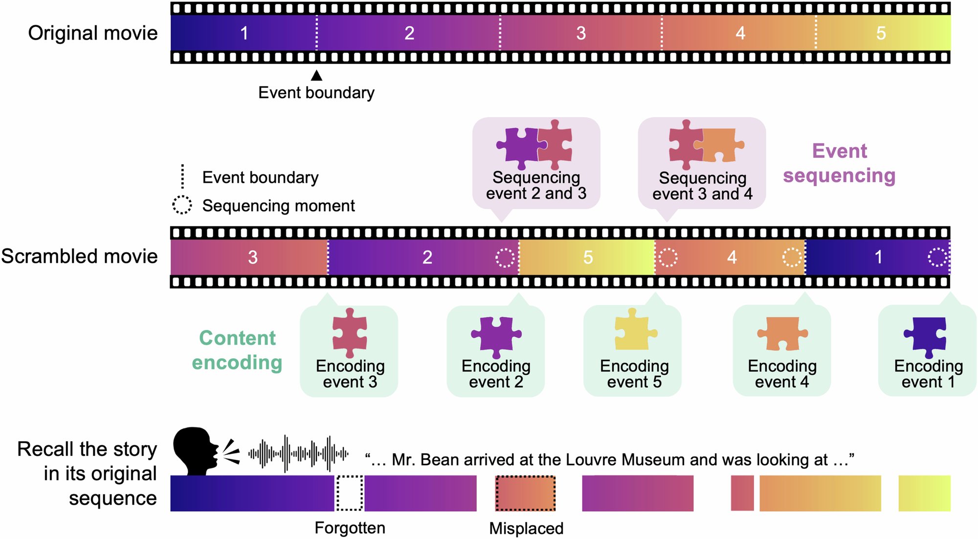 _jiwoongpark's tweet card. Communications Biology - Distinct hippocampal-cortical systems support the encoding and sequencing of narrative events during ongoing comprehension, revealing how episodic memory integrates past...