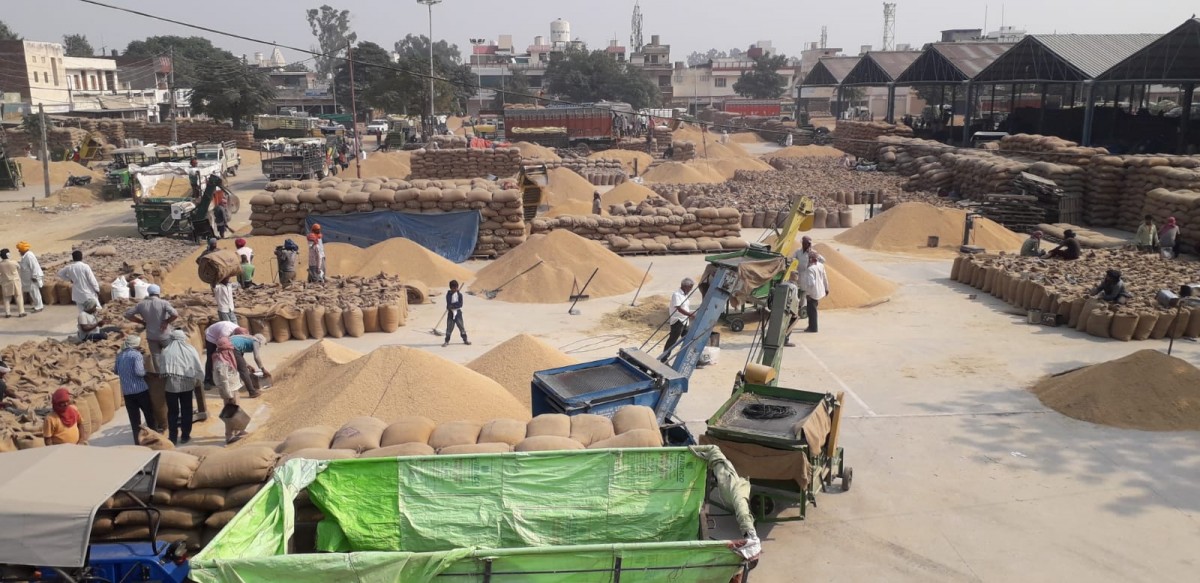 GNGAgritech's tweet card. Sukhpal Singh's latest book 'Regulating Agricultural Markets in India: A Smallholder Perspective' looks at the three farm laws that were repealed