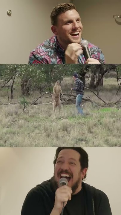 AdaBird_01's tweet card. kangaroo punch #shorts