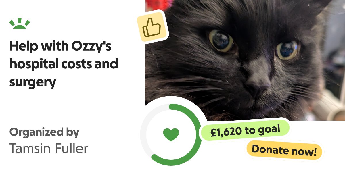 deltabug's tweet card. Hello! One if my little furballs is in need of help. You may be aware of wh… Tamsin Fuller needs your support for Help with Ozzy's hospital costs and surgery