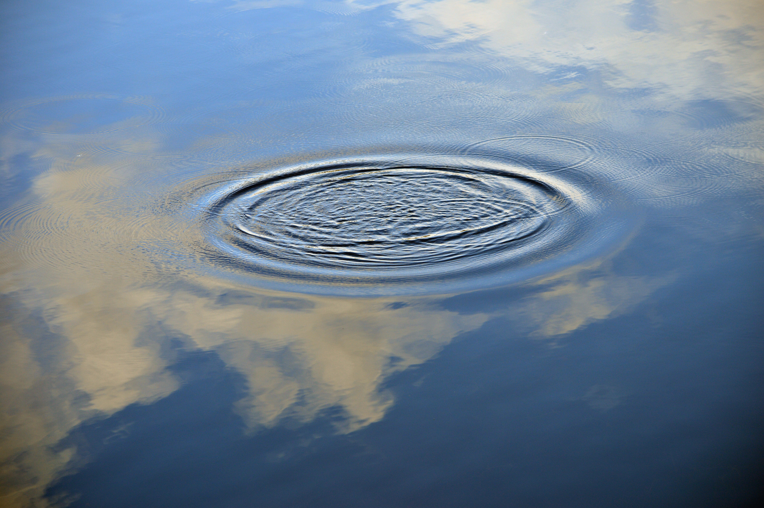 circecon's tweet card. A new collaboration seeks to combine circular principles with water management best practices.