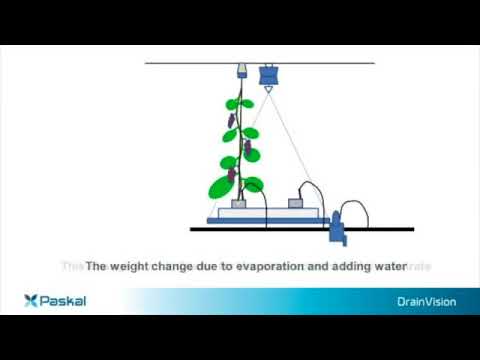 javanrooij's tweet card. Paskal DrainVision promotion English