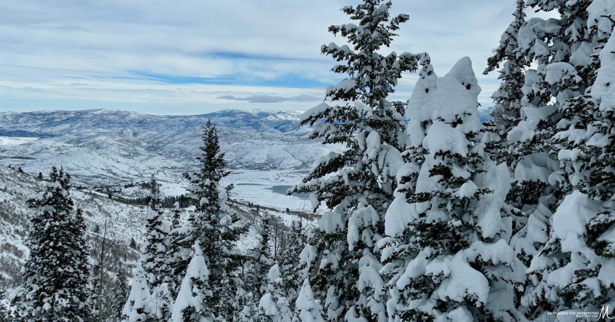 FridayKaren's tweet card. Explore our collection of the best posts of the 2023 first quarter for Embracing the Unexpected. These blog posts are absolute gems.